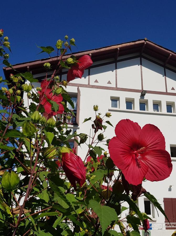 Hotel Pyrenees Atlantique Saint-Pée-sur-Nivelle Екстериор снимка