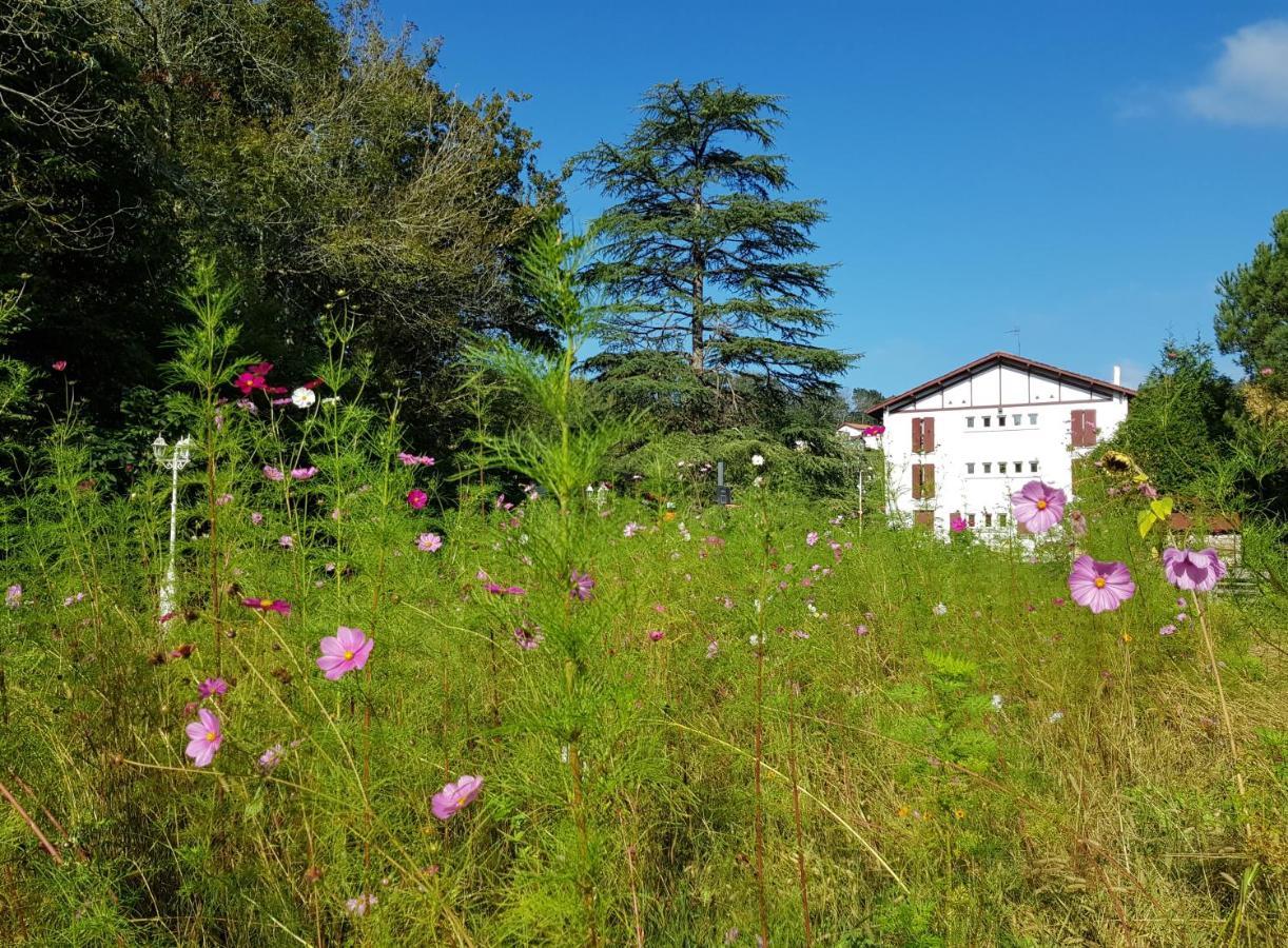Hotel Pyrenees Atlantique Saint-Pée-sur-Nivelle Екстериор снимка
